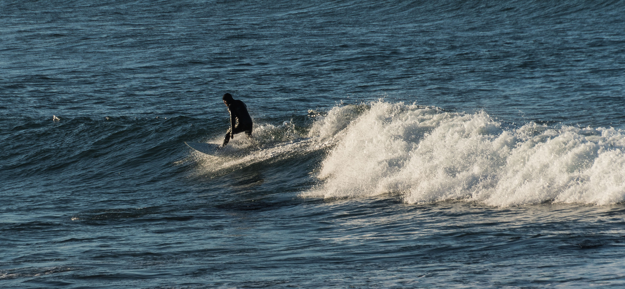 Nikon D500 sample photo. Surfer photography
