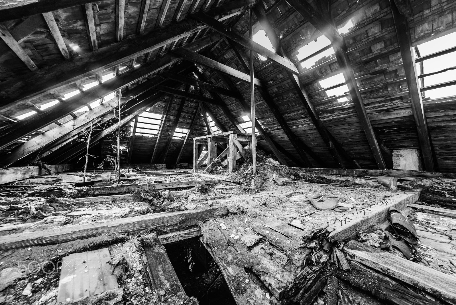 Sony a99 II + Sony 16mm F2.8 Fisheye sample photo
