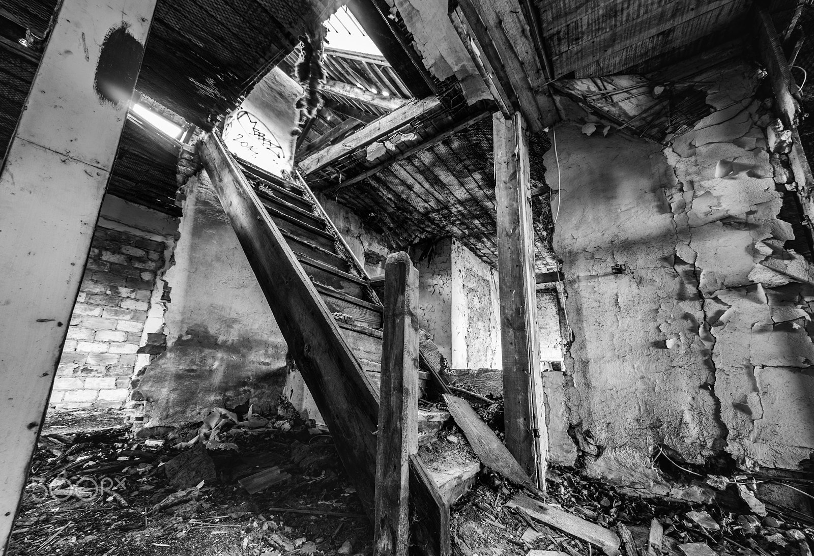 Sony a99 II + Sony 16mm F2.8 Fisheye sample photo