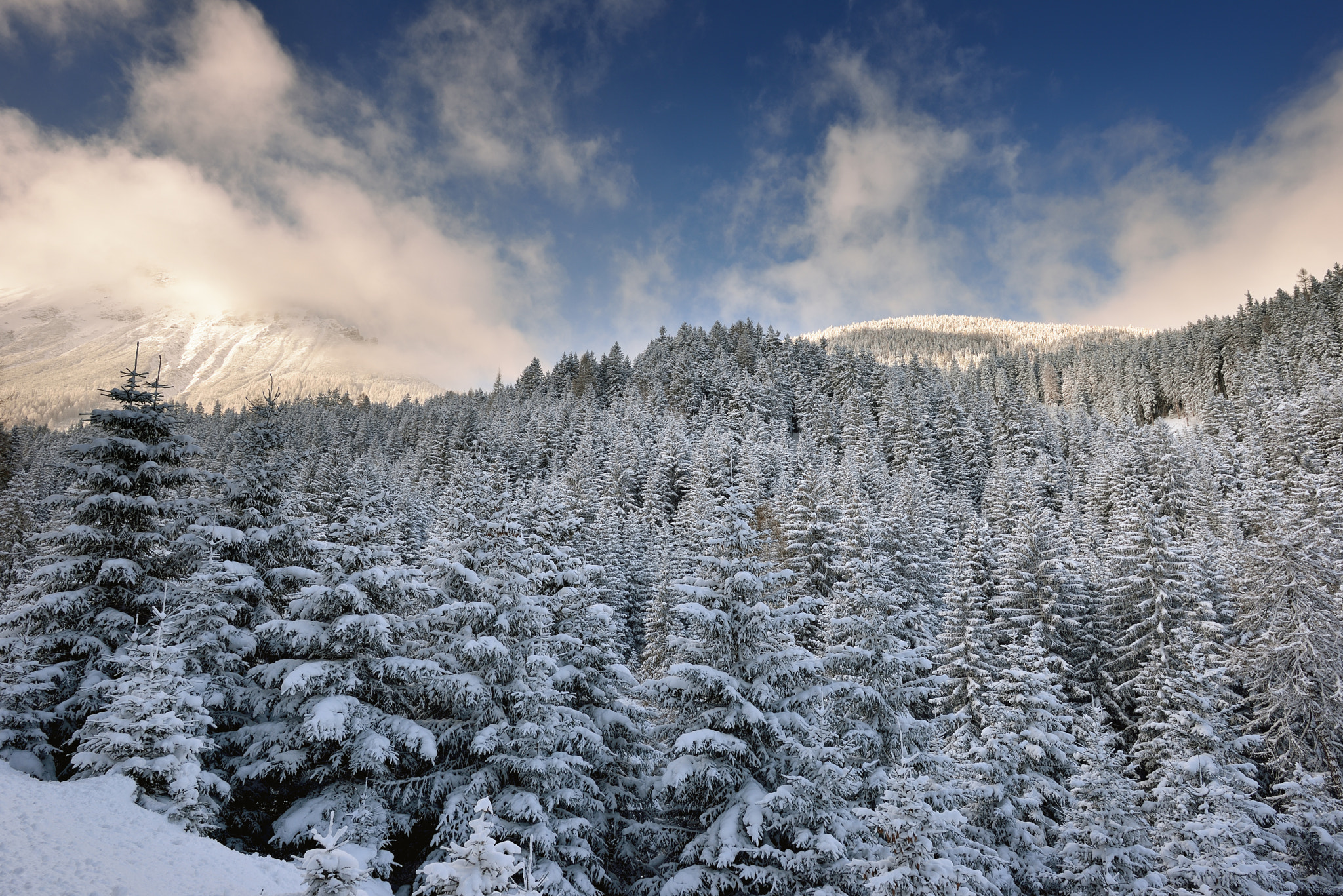 Nikon D610 + Nikon AF-S Nikkor 20mm F1.8G ED sample photo. Winterwonderland photography