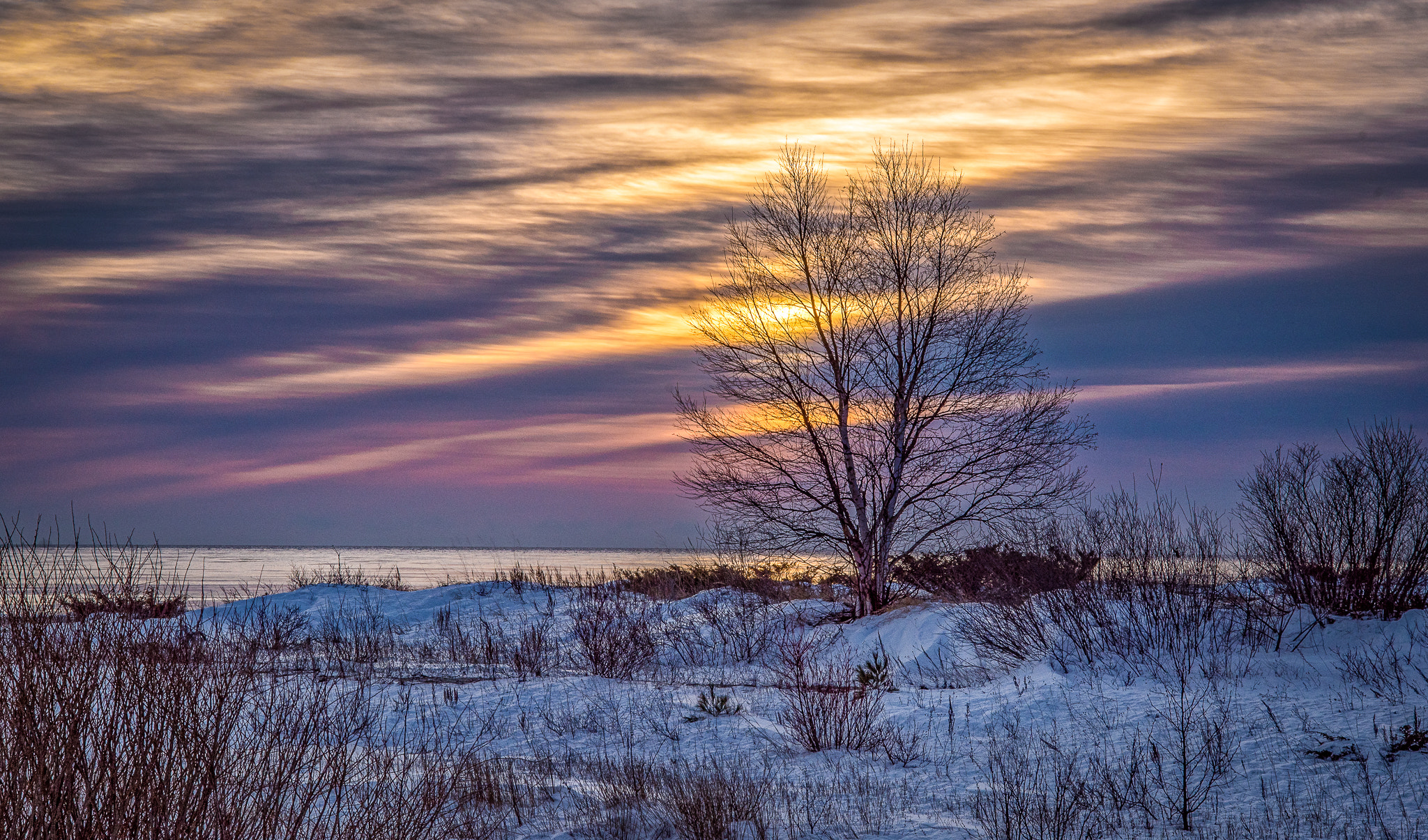 Nikon AF Nikkor 24-85mm F2.8-4D IF sample photo. Sunrise birch photography