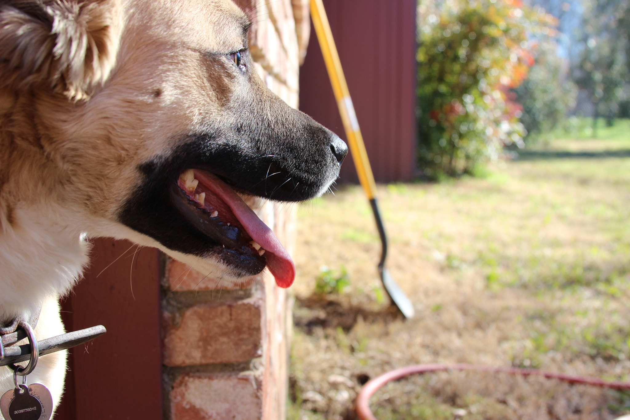 Canon EF 28-135mm F3.5-5.6 IS USM sample photo. Img photography