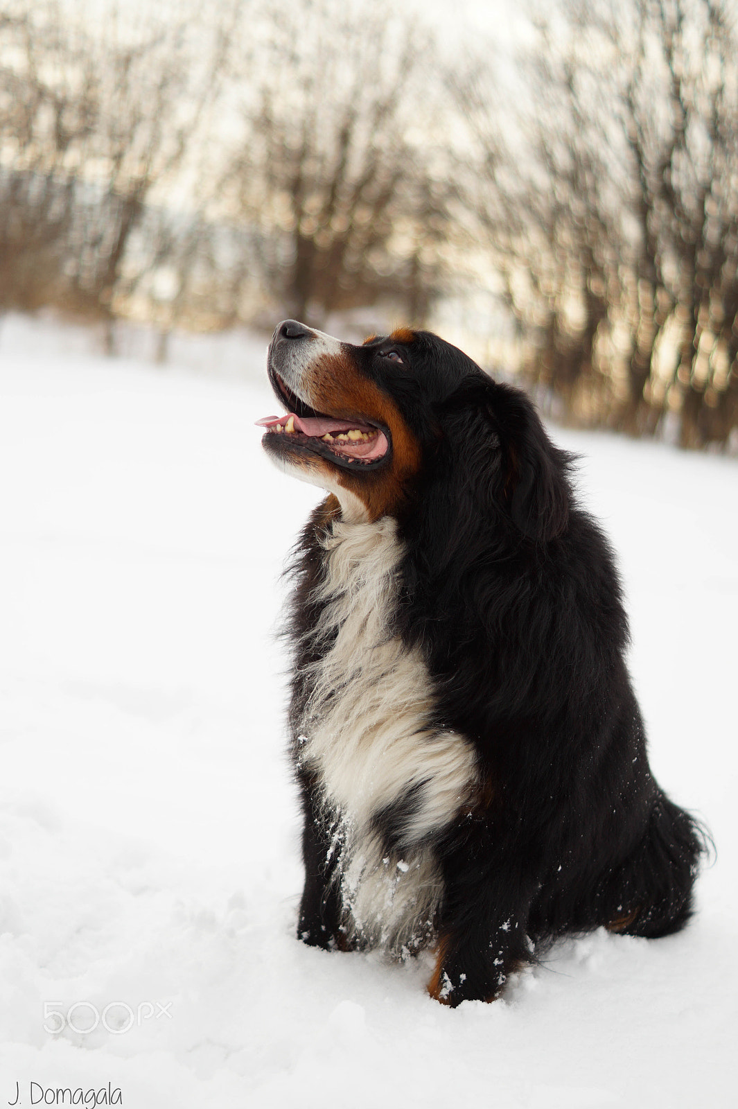 Sony SLT-A58 sample photo. My little boy <3 photography