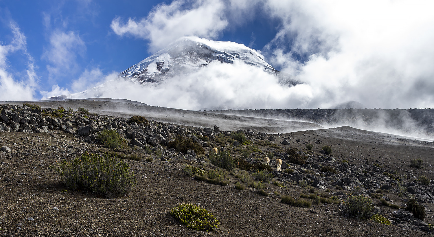 Sony a7 II + E 21mm F2.8 sample photo. Chimborazo i photography