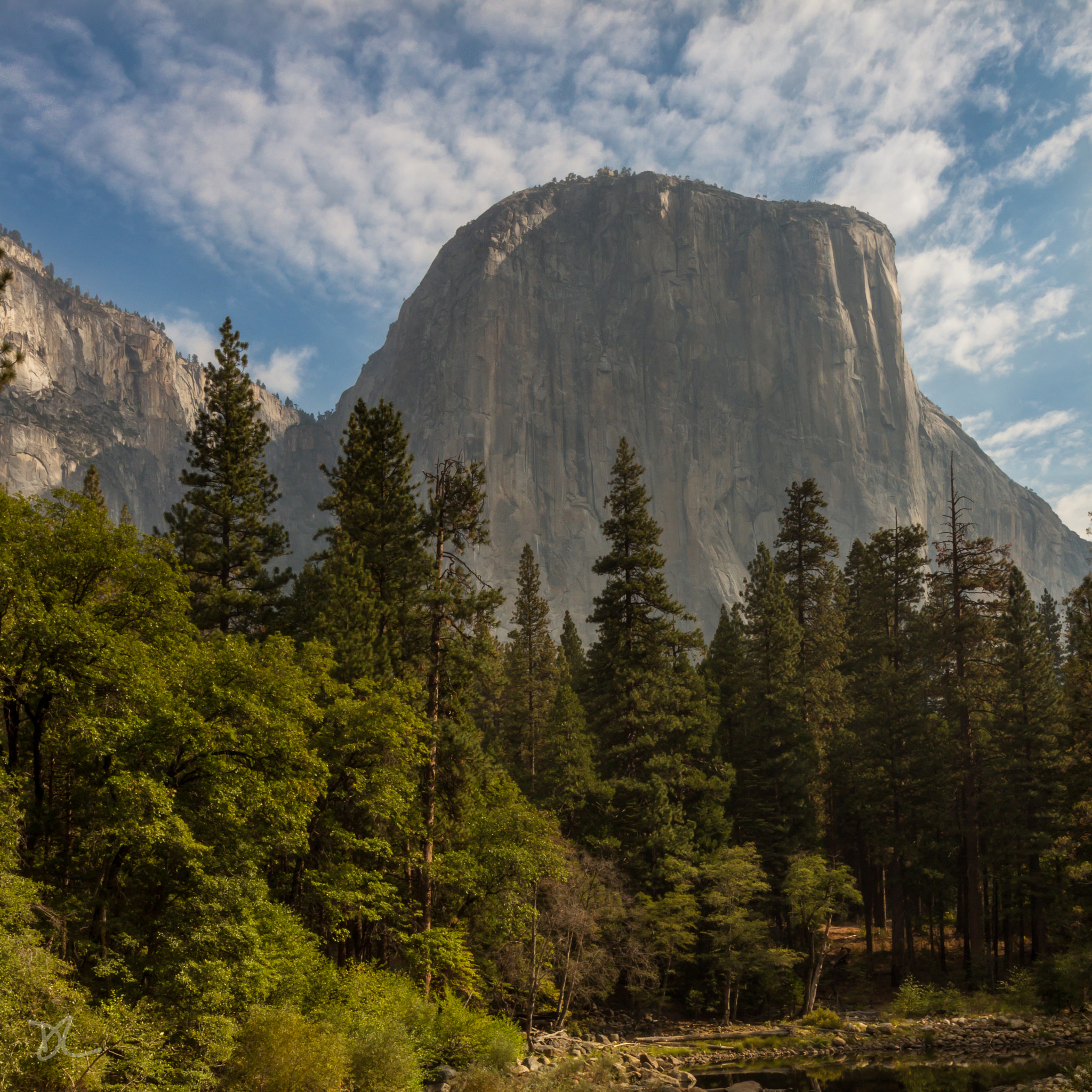 Canon EF 16-35mm F4L IS USM sample photo. El capitan in the morning mist photography