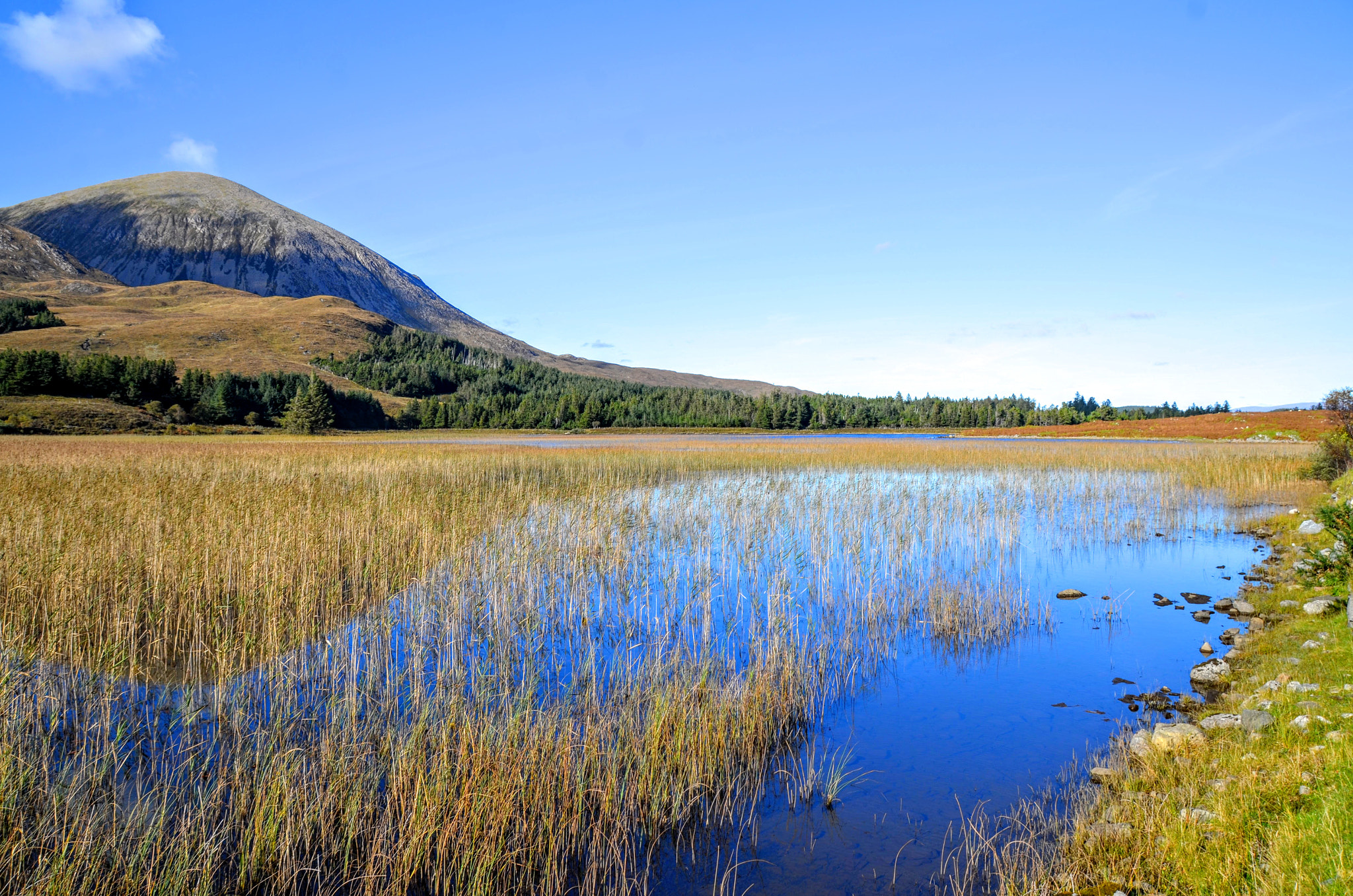 Sigma 18-250mm F3.5-6.3 DC Macro OS HSM sample photo. Loch cill chriosd reed beds photography