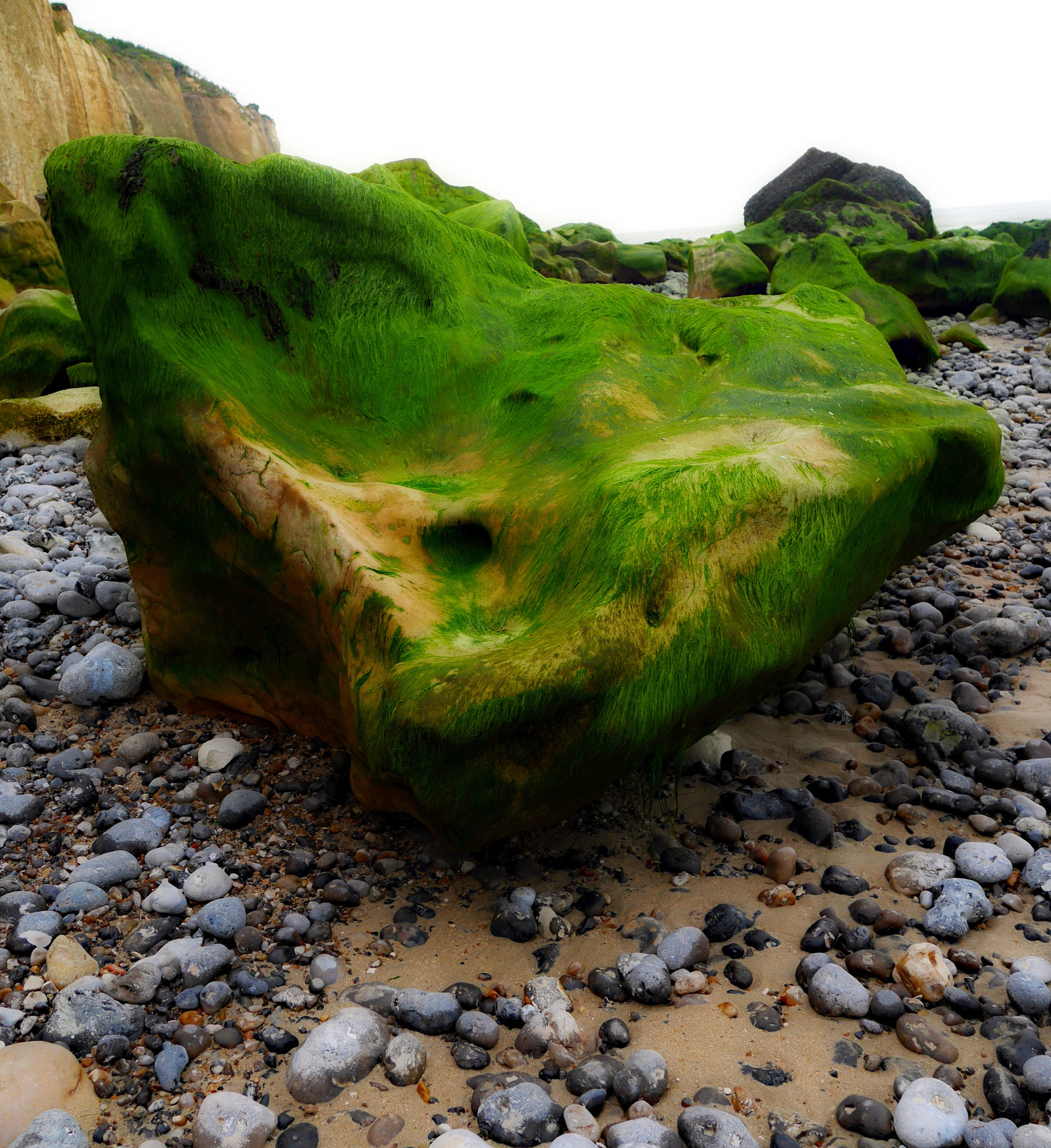 Panasonic Lumix DMC-GX7 sample photo. Taken in normandie, france. photography
