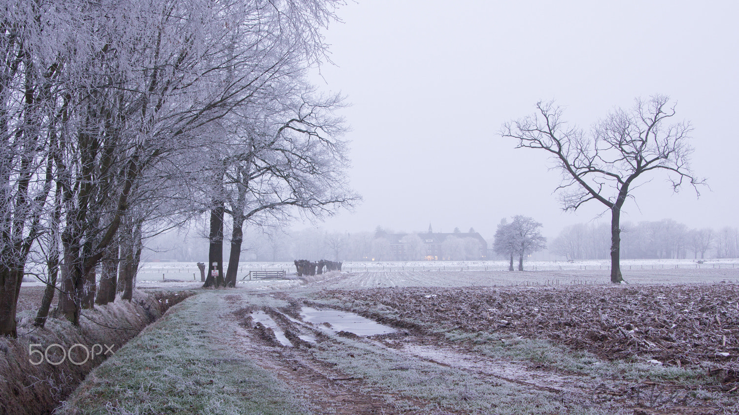 Canon EOS 60D sample photo. In the cold mist photography