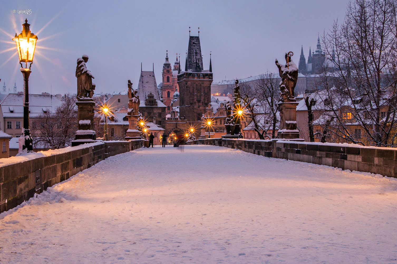 Nikon D300S sample photo. Winter tale photography
