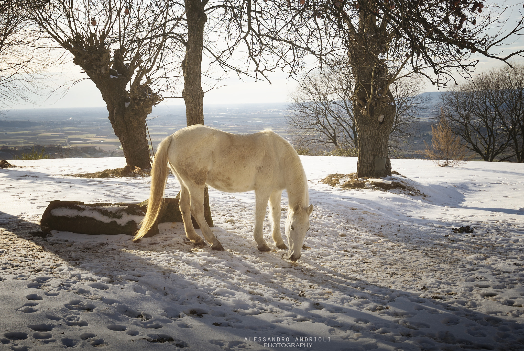 Nikon AF-S Nikkor 18-35mm F3.5-4.5G ED sample photo. Jenny photography
