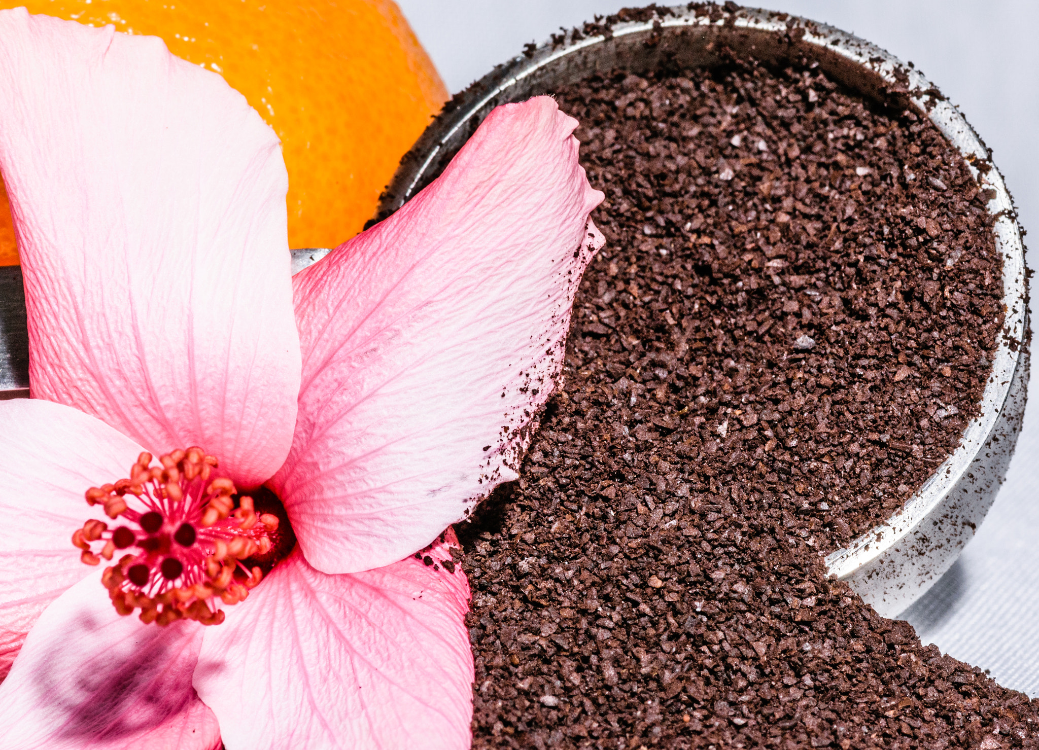 Tokina AT-X Pro 100mm F2.8 Macro sample photo. Flowers coffee and fruit photography
