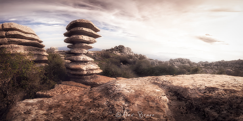 Tokina AT-X Pro 12-24mm F4 (IF) DX sample photo. El tornillo photography