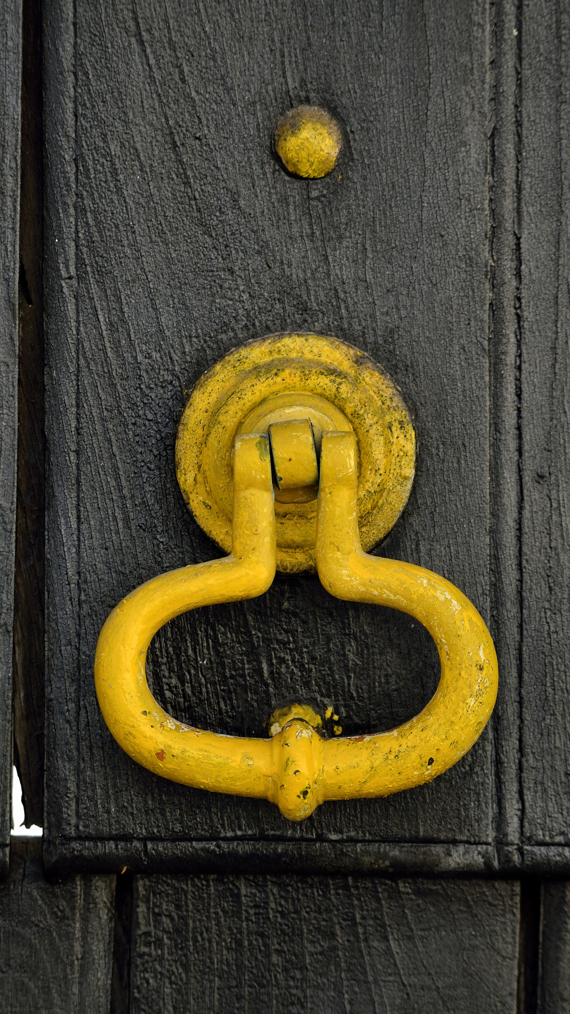 Nikon D7000 + AF Nikkor 70-210mm f/4-5.6 sample photo. Yellow knocker photography