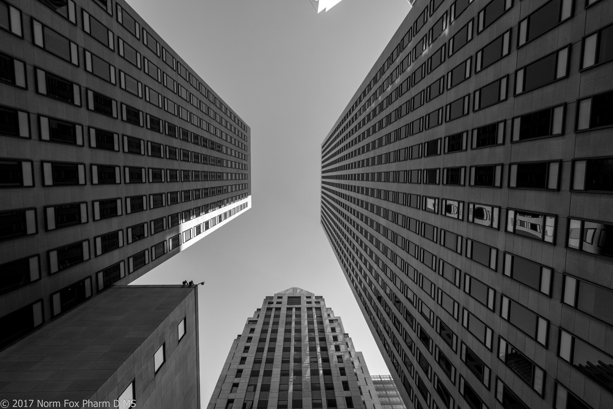 Canon EOS 760D (EOS Rebel T6s / EOS 8000D) sample photo. Embarcadero san francisco photography