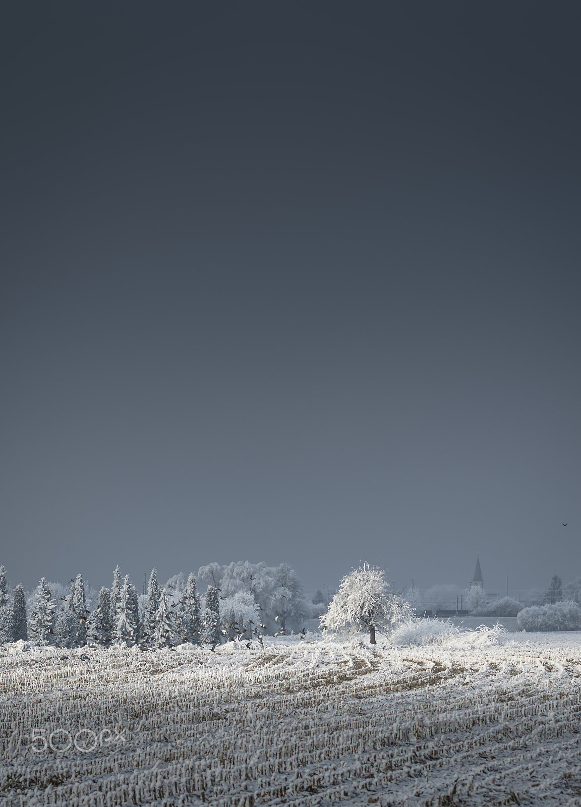 Nikon AF-S Nikkor 70-200mm F4G ED VR sample photo. Winter-2 photography