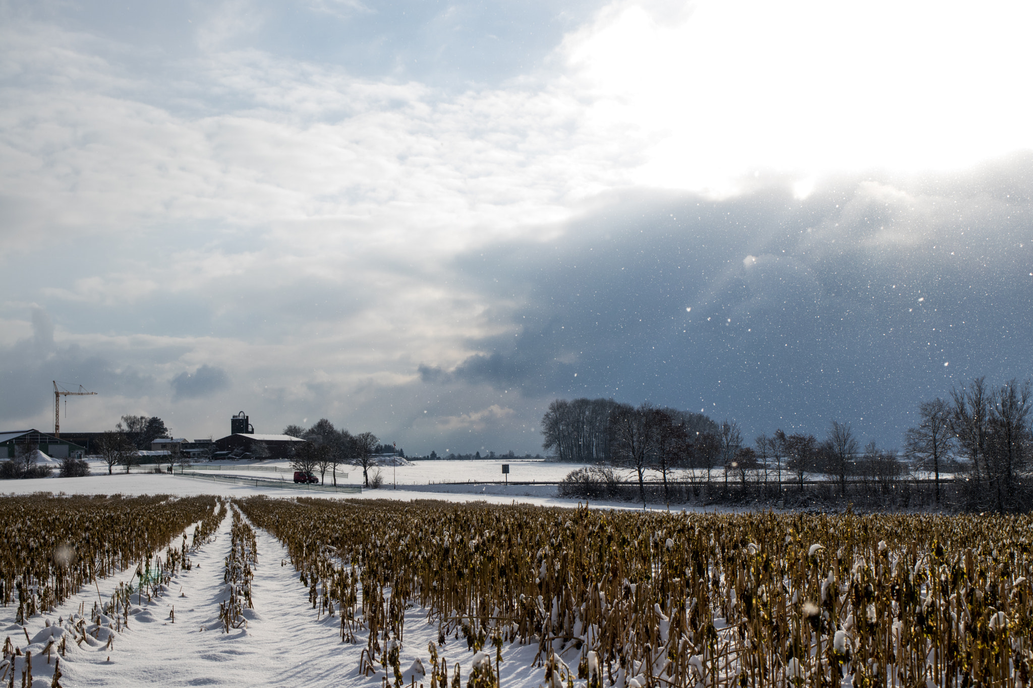 Canon EOS 80D + Canon EF 35mm F2 IS USM sample photo. Winter walk photography