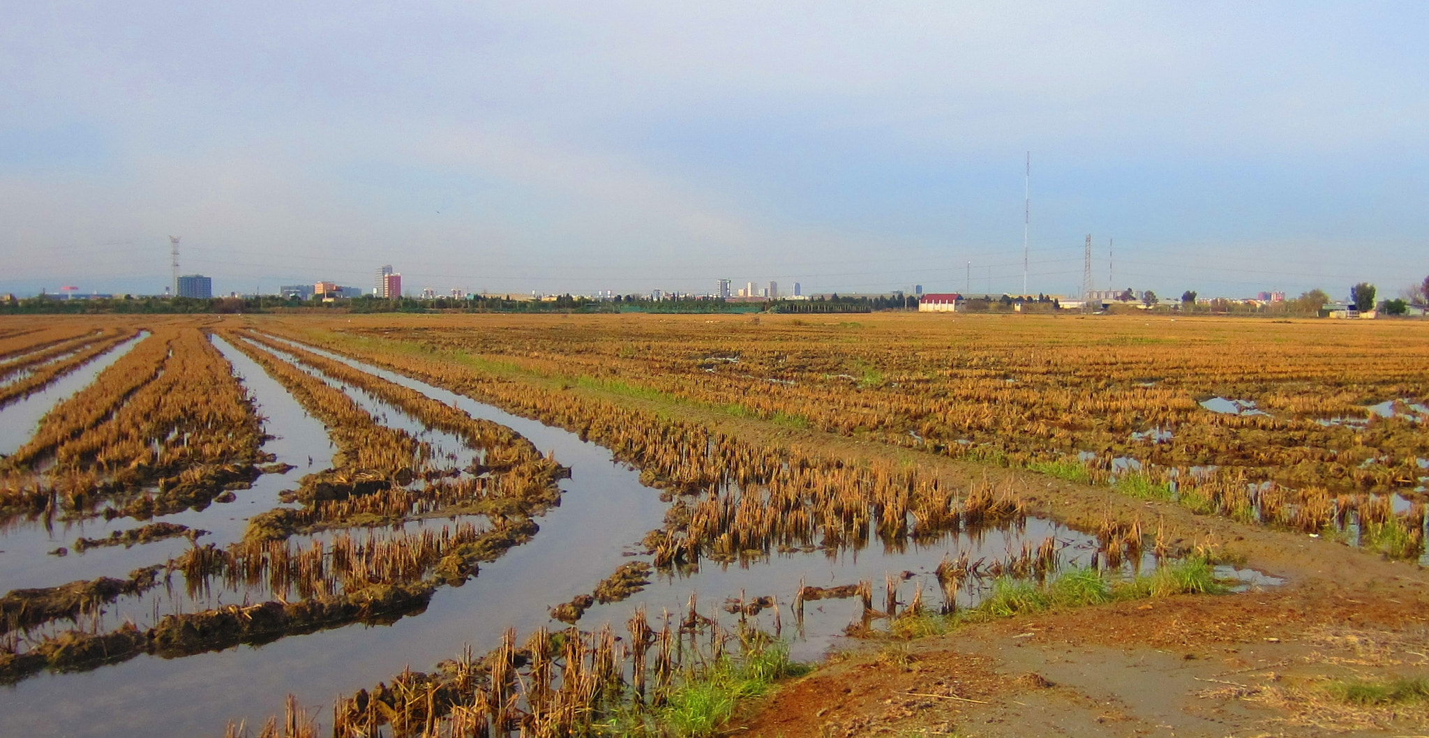 Canon PowerShot ELPH 300 HS (IXUS 220 HS / IXY 410F) sample photo. The rice has been cut and now is time to relax photography