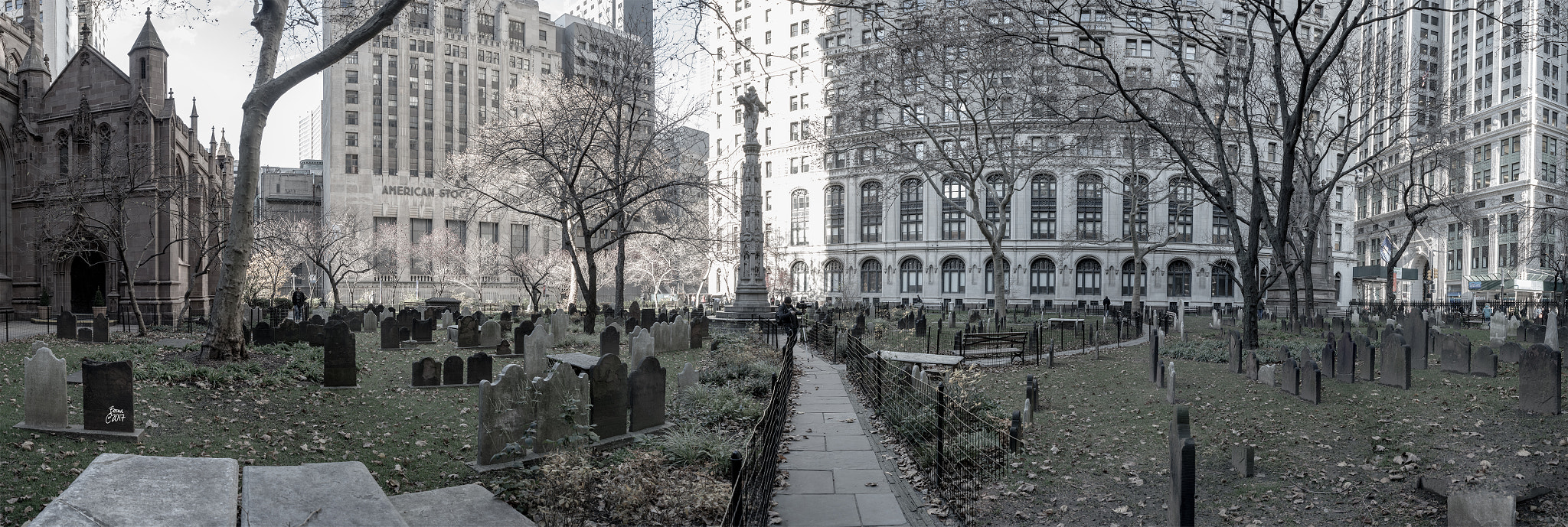 Nikon D610 sample photo. Trinity church photography