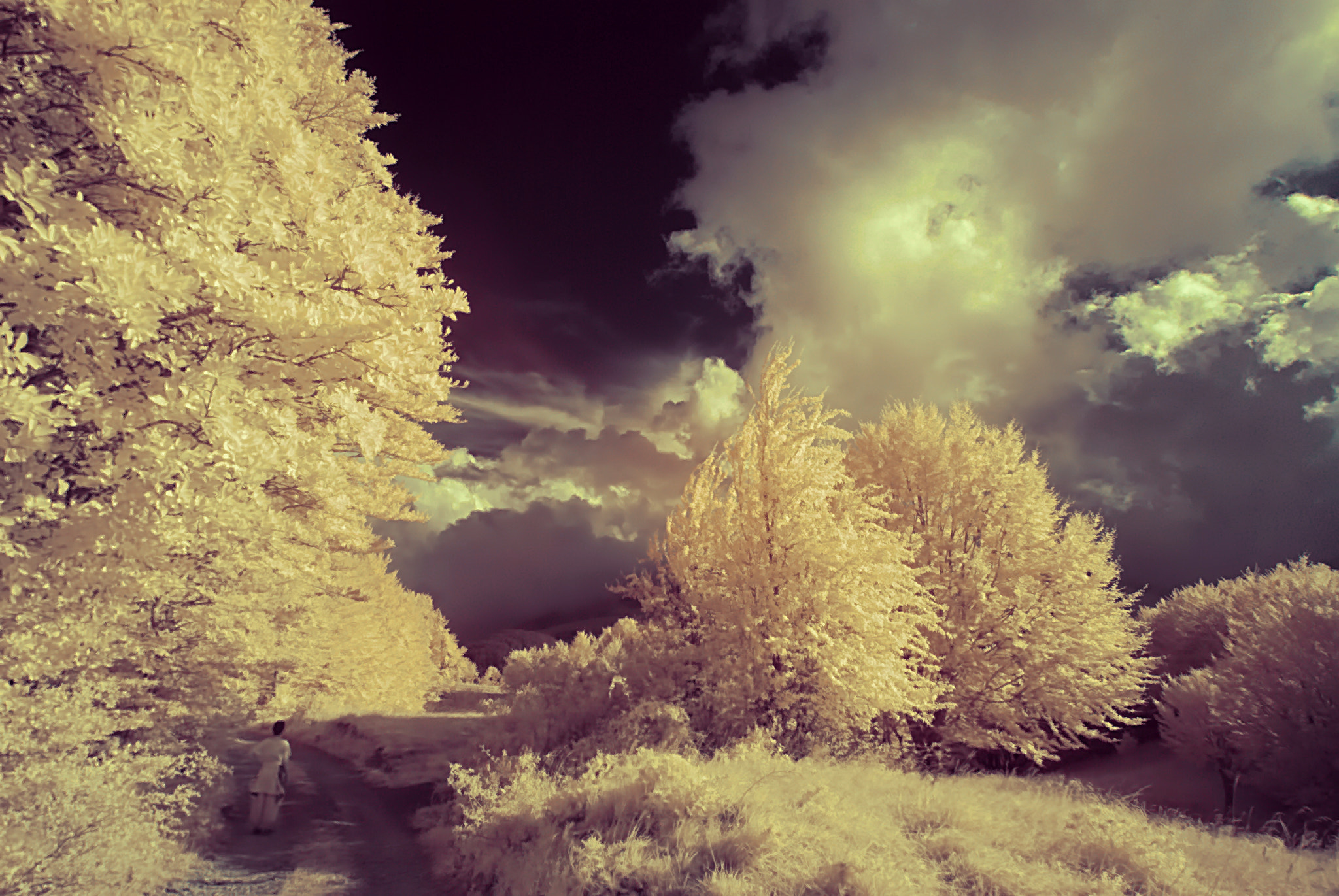 Nikon D80 sample photo. Before the storm photography
