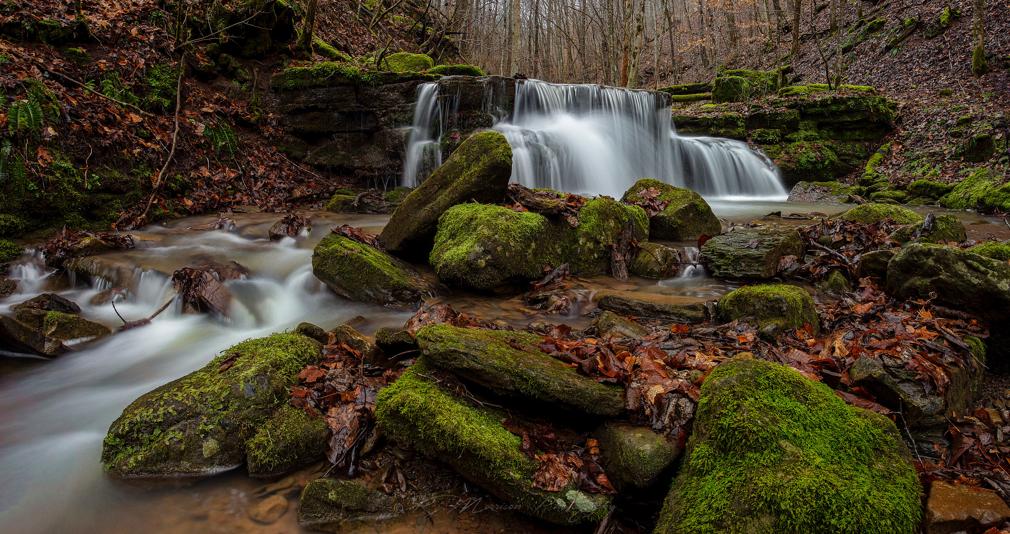 Canon EOS 600D (Rebel EOS T3i / EOS Kiss X5) sample photo. Big branch falls  photography