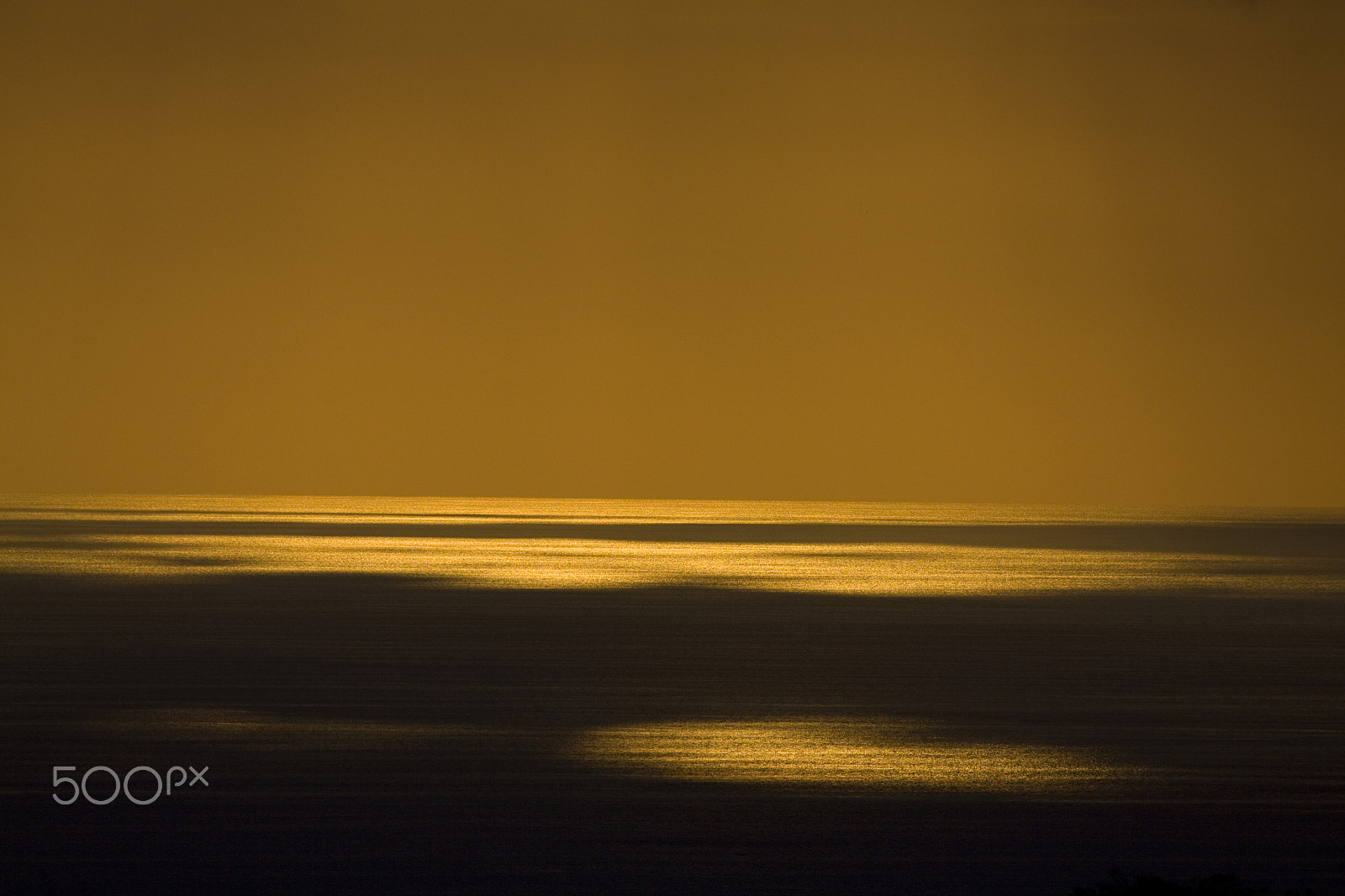 Canon EF 100-400mm F4.5-5.6L IS USM sample photo. Gold reflections photography