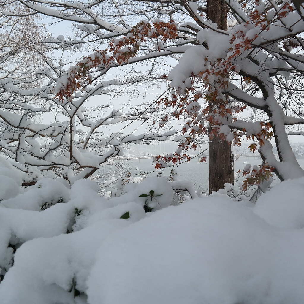 Samsung NX300M sample photo
