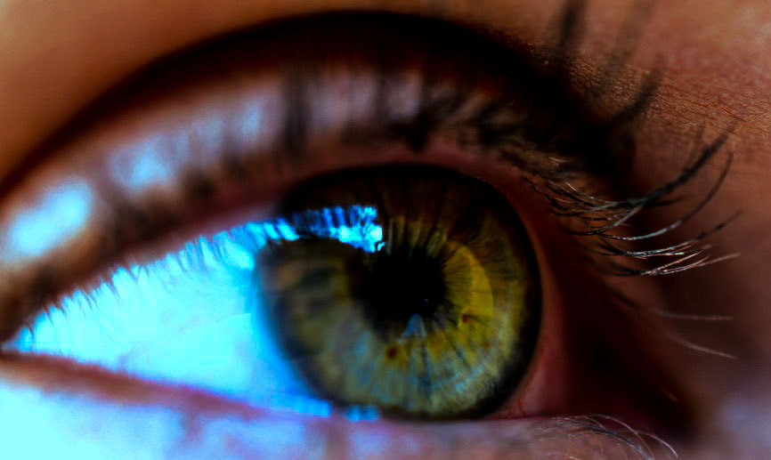 Nikon AF-S DX Micro Nikkor 40mm F2.8 sample photo. De olho na vida photography