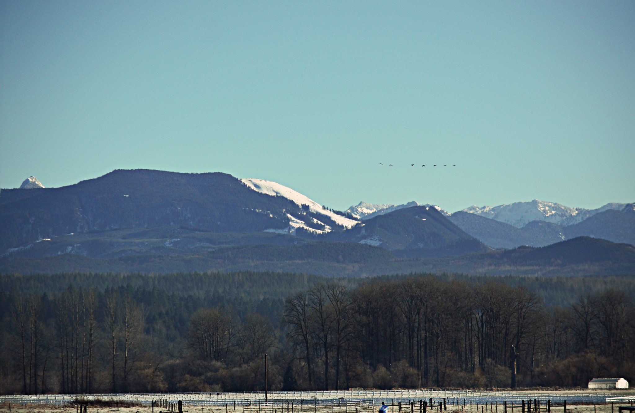Sigma 17-70mm F2.8-4 DC Macro OS HSM | C sample photo. Farmland in duvall, wa photography