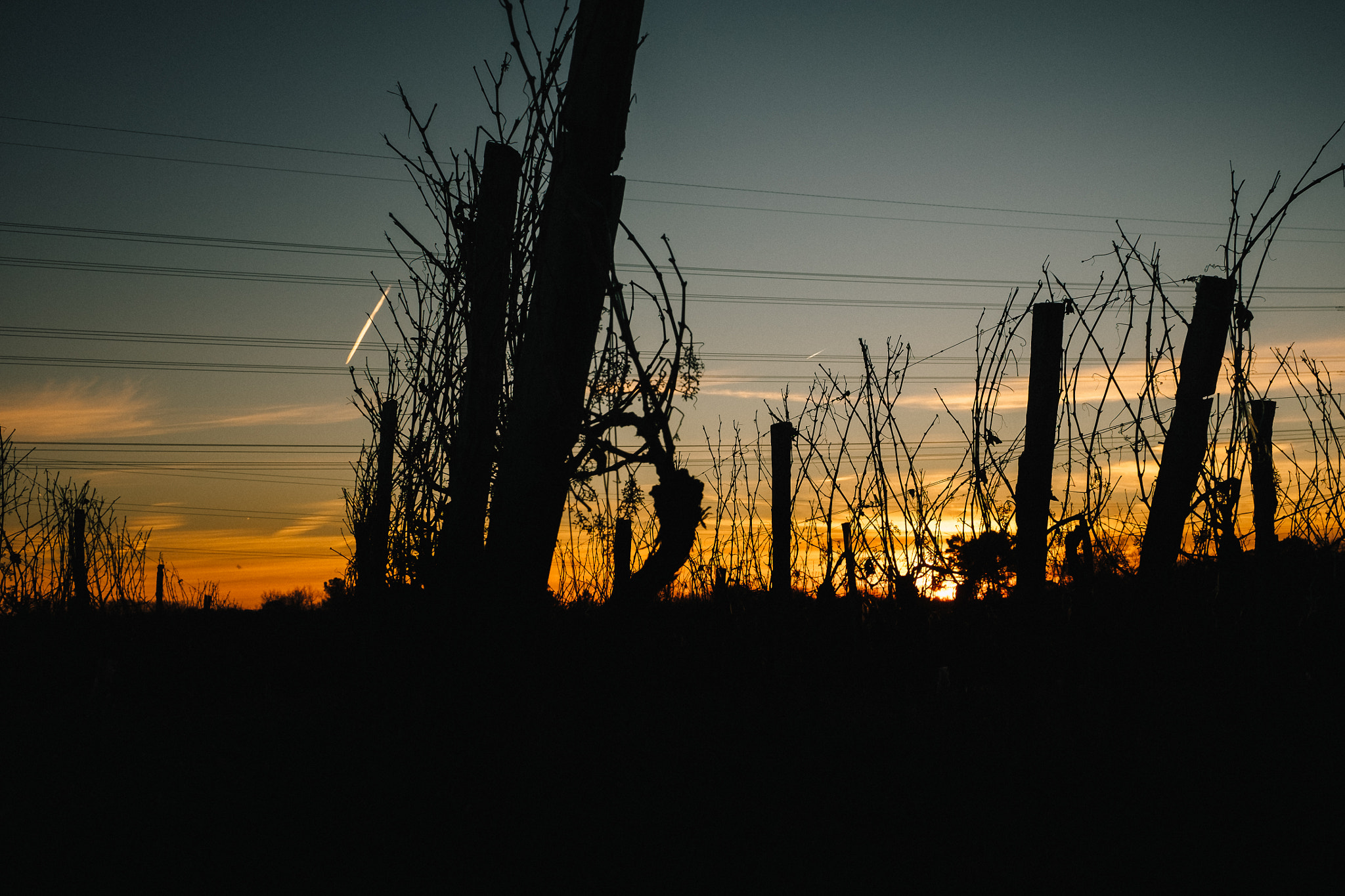 Fujifilm X-T10 sample photo. Sunset photography