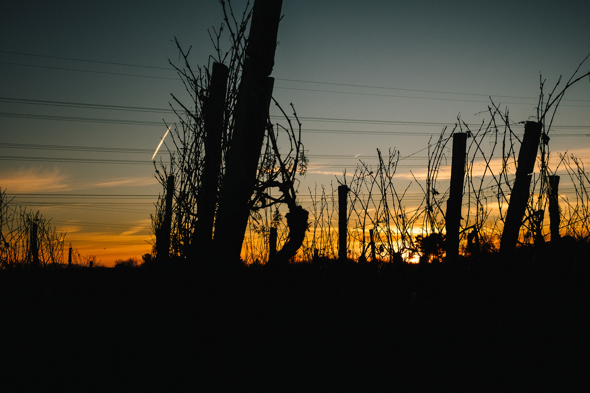 Fujifilm X-T10 + Fujifilm XF 16-55mm F2.8 R LM WR sample photo. Sunset photography