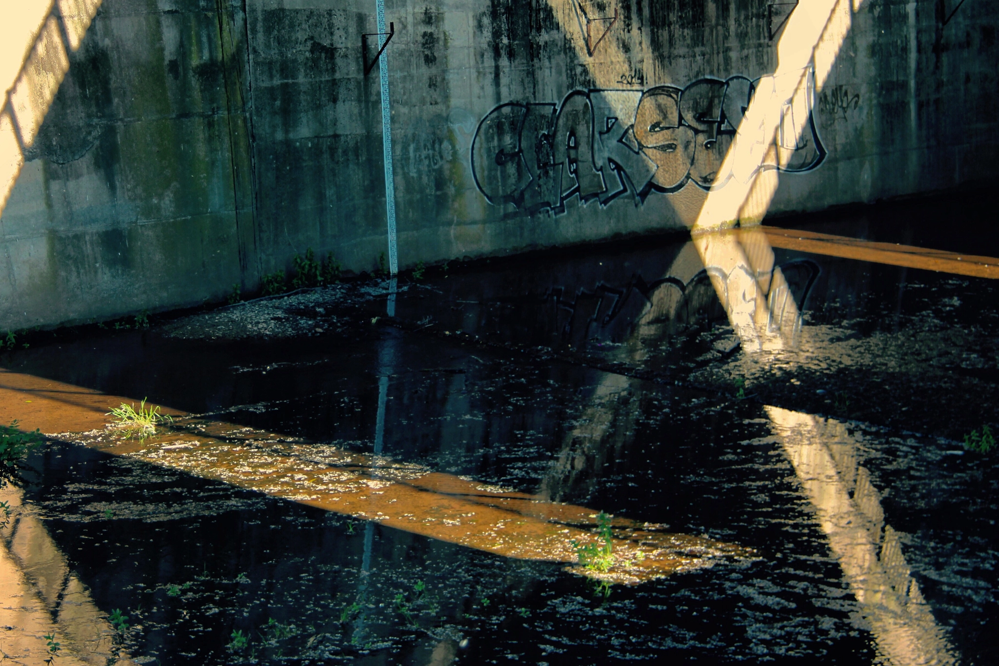 Canon EOS 50D + Canon EF-S 18-200mm F3.5-5.6 IS sample photo. Under the bridge photography