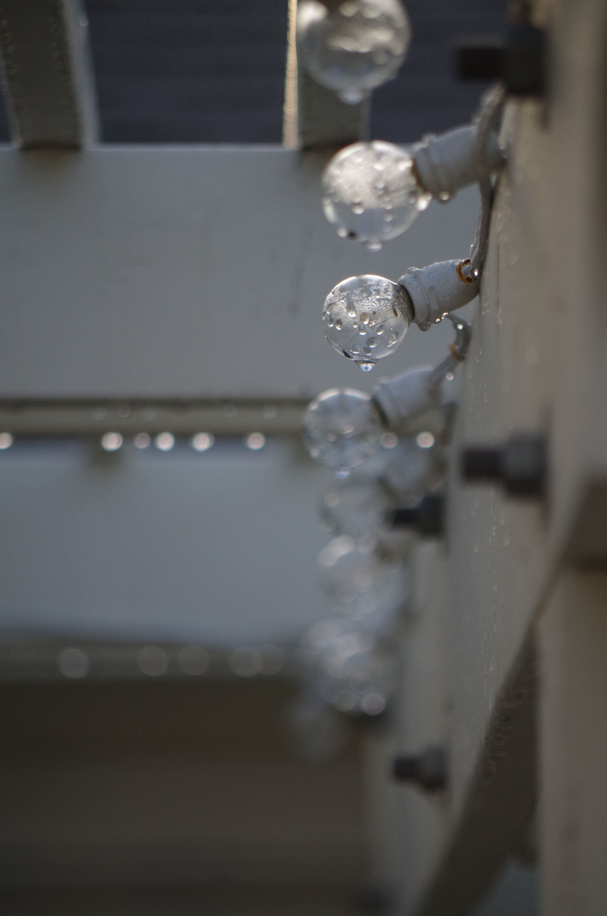 smc Pentax-DA L 50-200mm F4-5.6 ED WR sample photo. After a rain photography