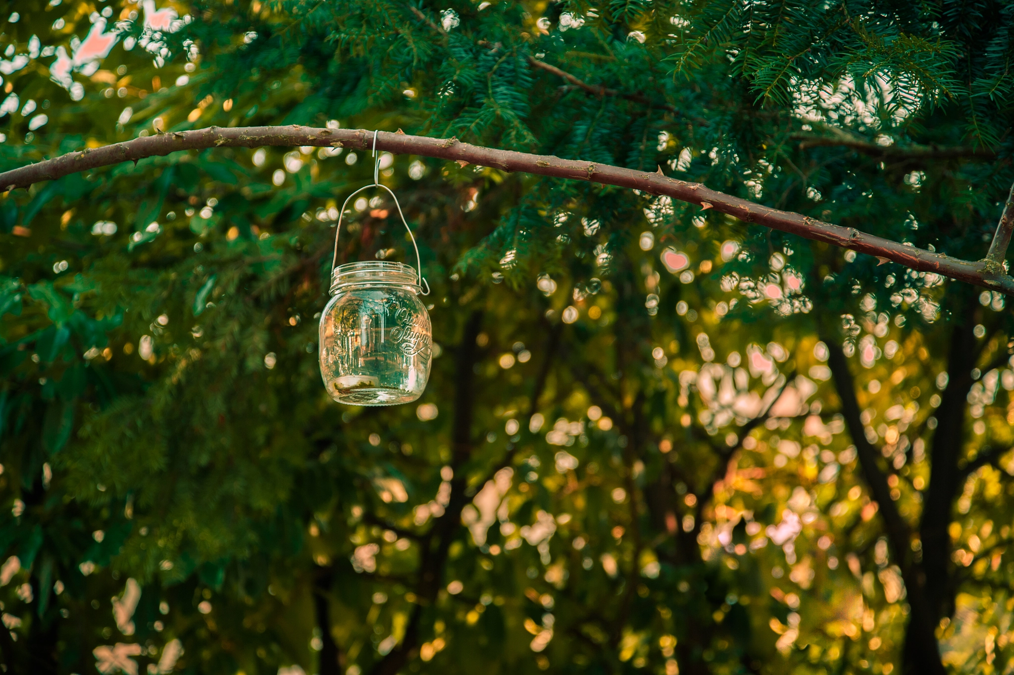 Nikon D3 sample photo
