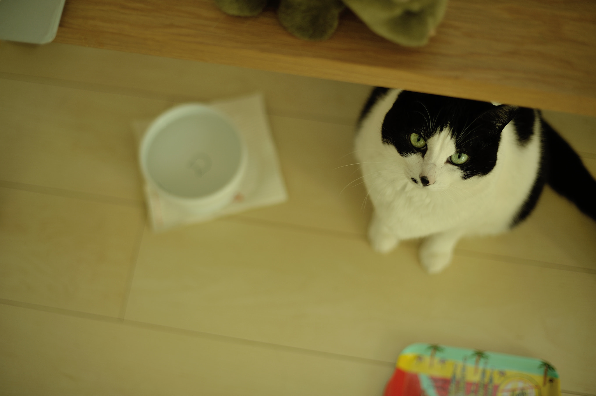 Nikon D700 + Voigtlander Nokton 58mm F1.4 SLII sample photo. Waiting photography