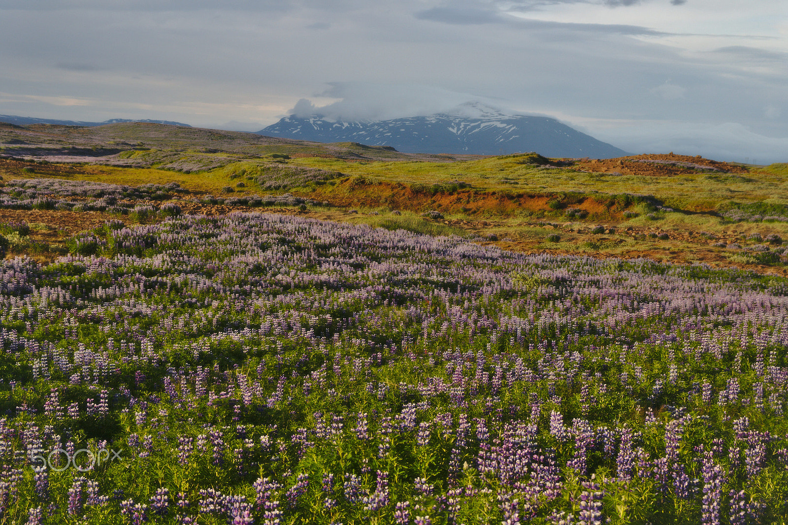 Samsung NX1000 + Samsung NX 18-55mm F3.5-5.6 OIS sample photo. Iceland photography