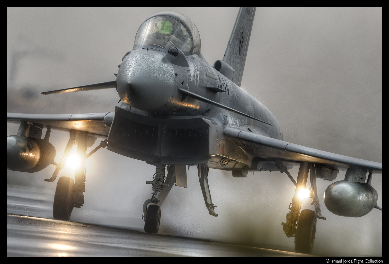 Nikon D810 + Nikon AF-S Nikkor 600mm F4G ED VR sample photo. Eurofighter ala14 (2016) photography