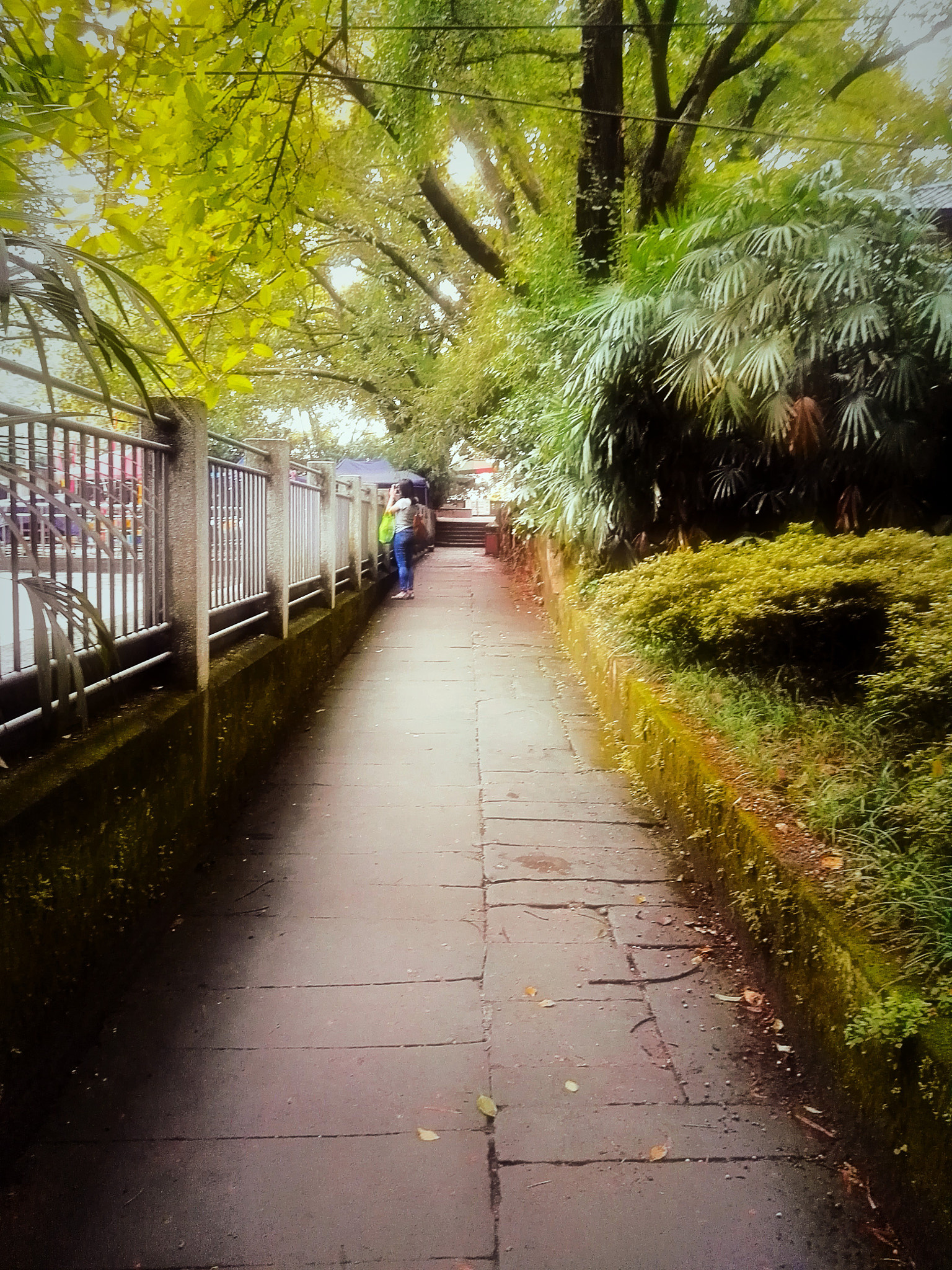 HUAWEI DAV sample photo. Chongqing forest photography