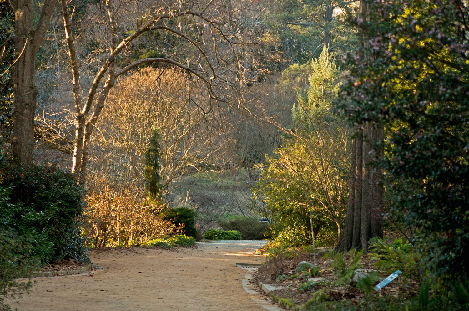 Pentax K-5 IIs sample photo. Garden path photography