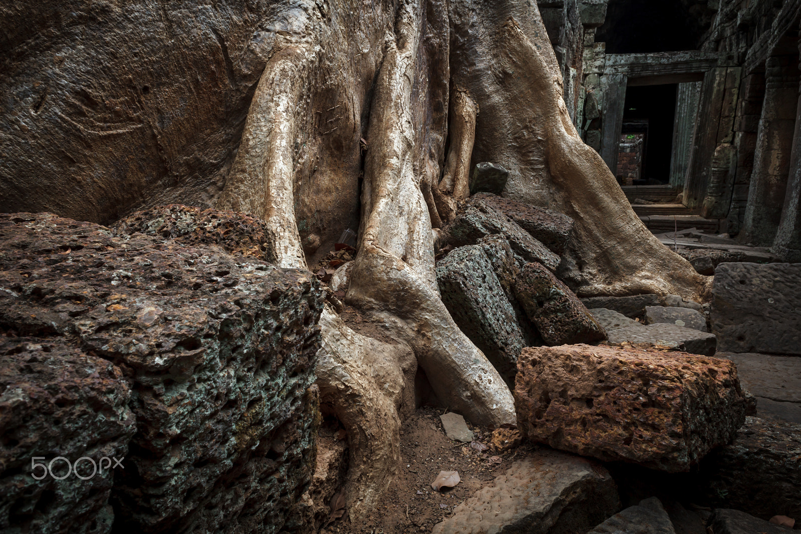 Canon EF 28mm F1.8 USM sample photo. Nature vs structure photography