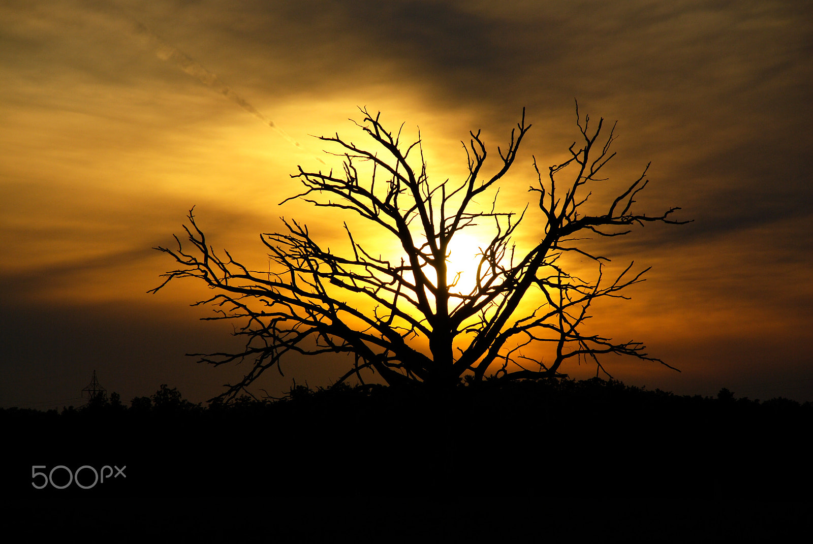 Nikon D60 sample photo. A chance in dreams photography