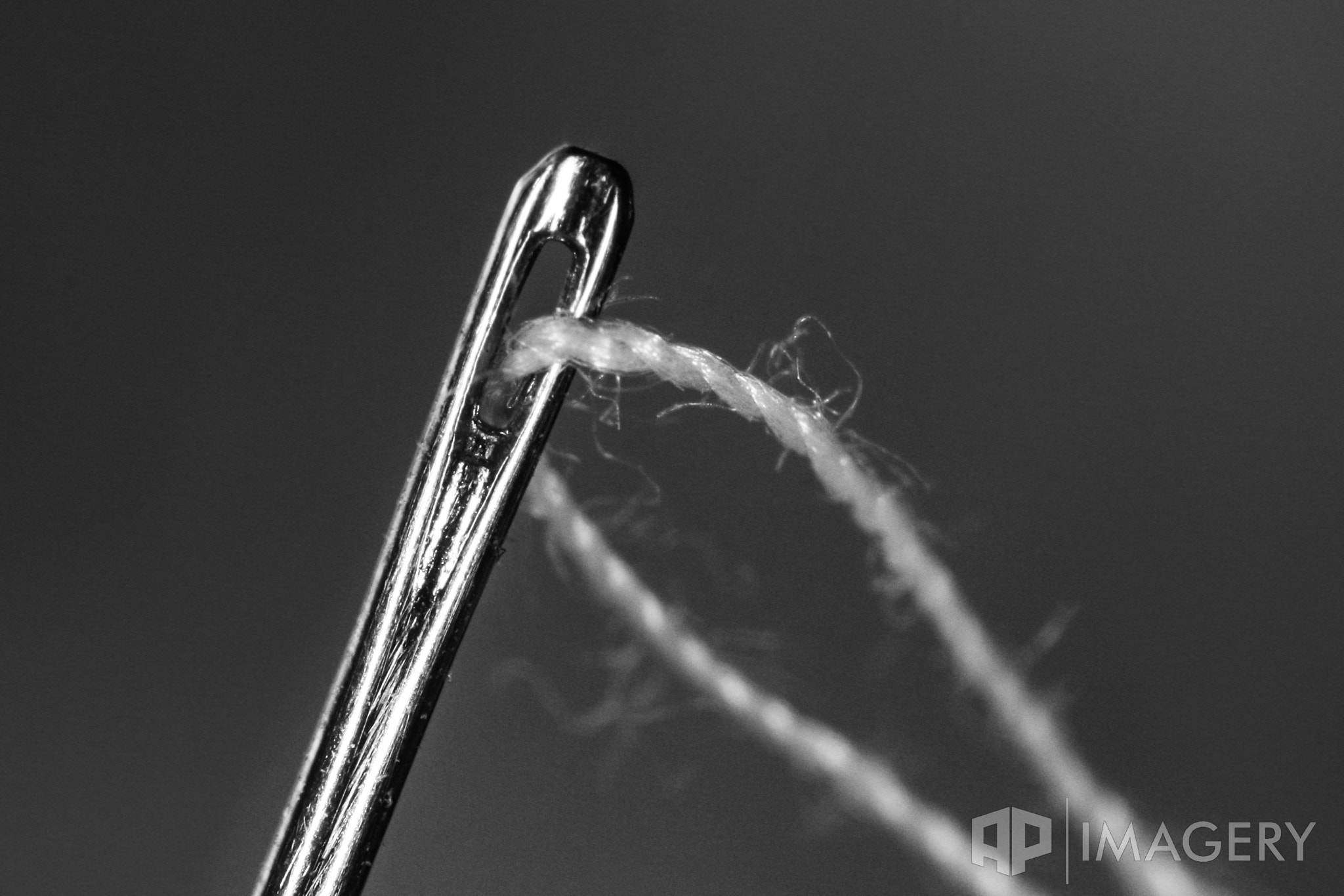 Canon EF 100mm F2.8 Macro USM sample photo. Needle and thread photography