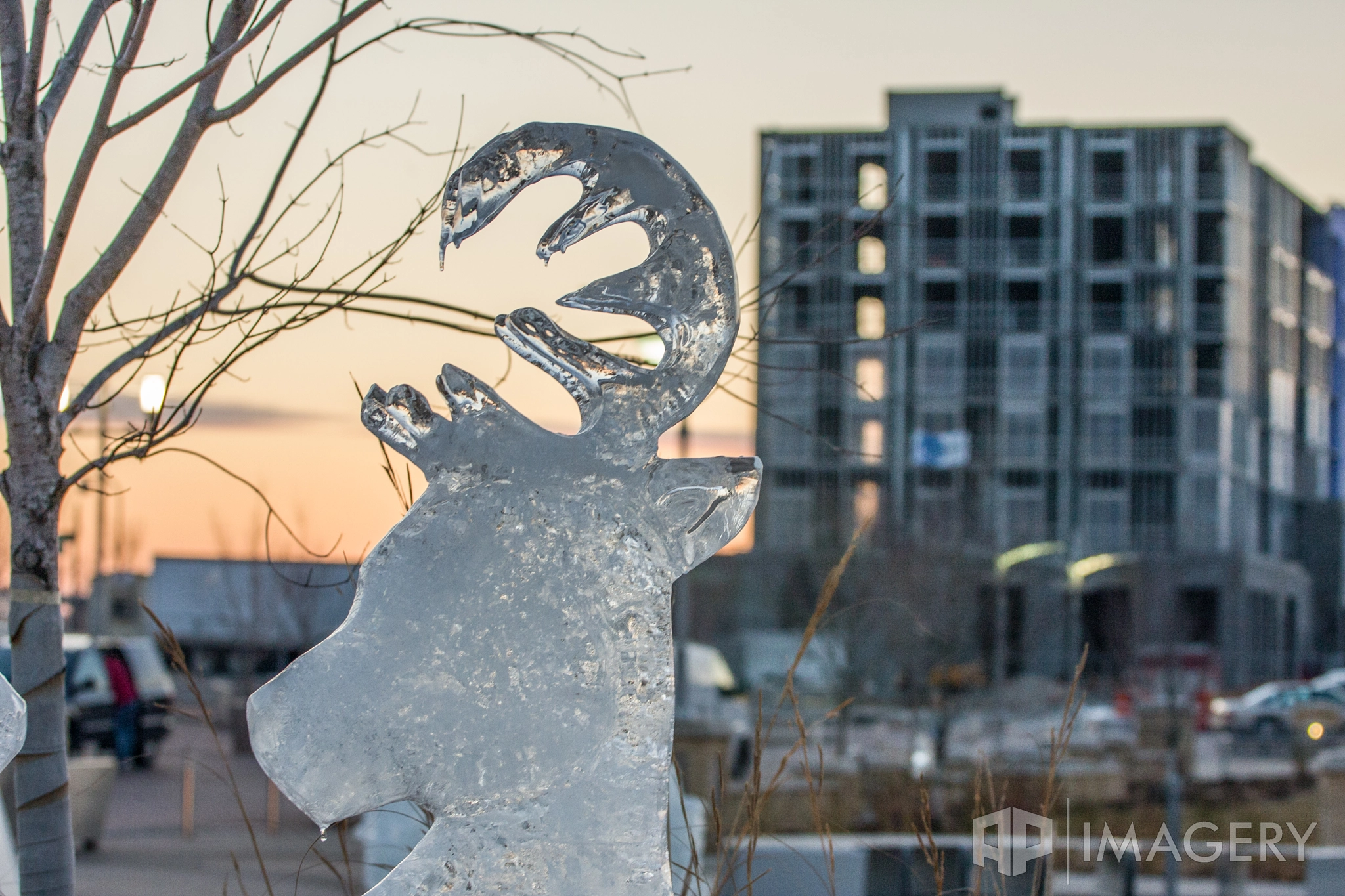 Canon EOS 40D + Canon EF 70-200mm F4L USM sample photo. Event - ice in owensboro photography