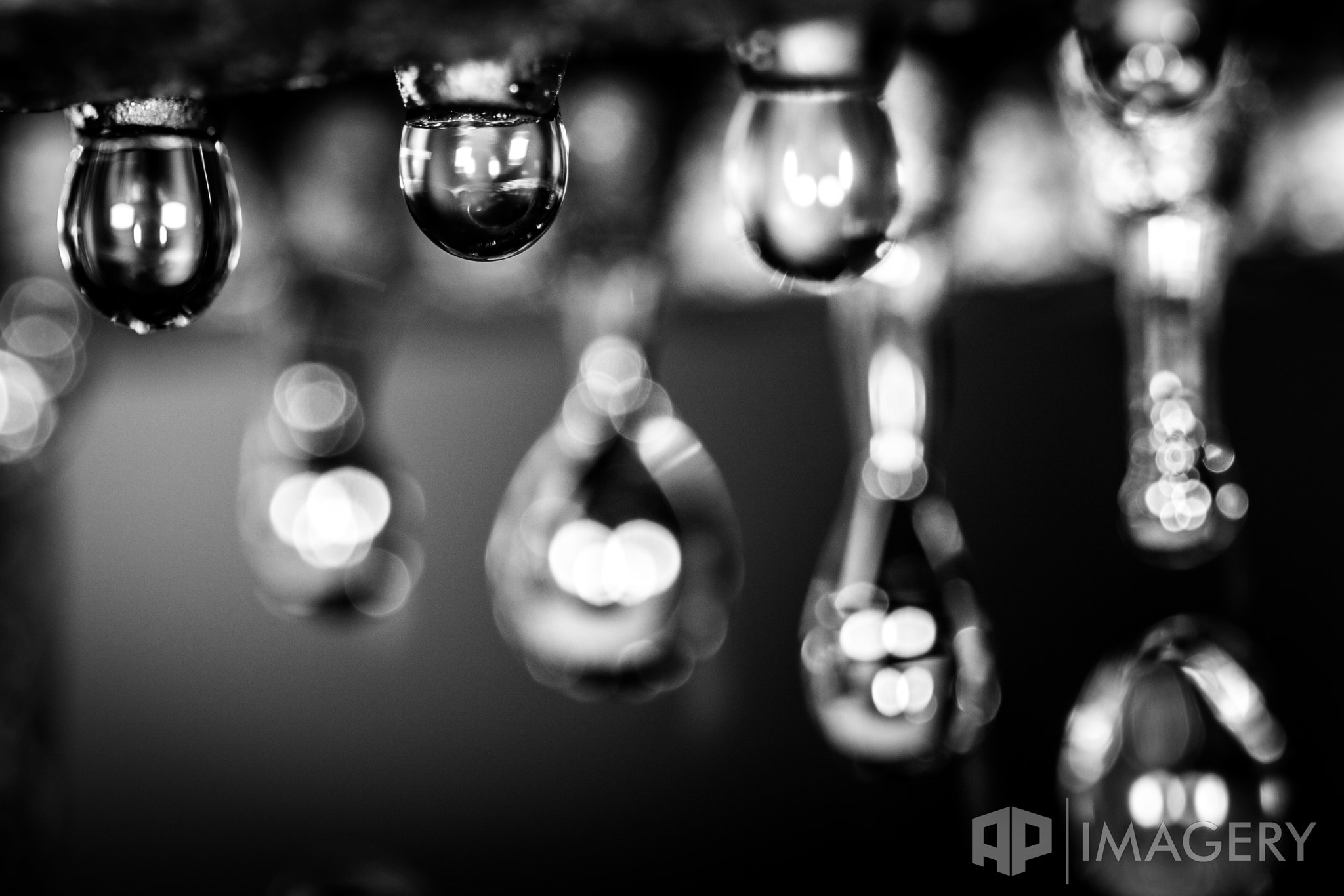 Canon EF 100mm F2.8 Macro USM sample photo. Macro - water droplets photography
