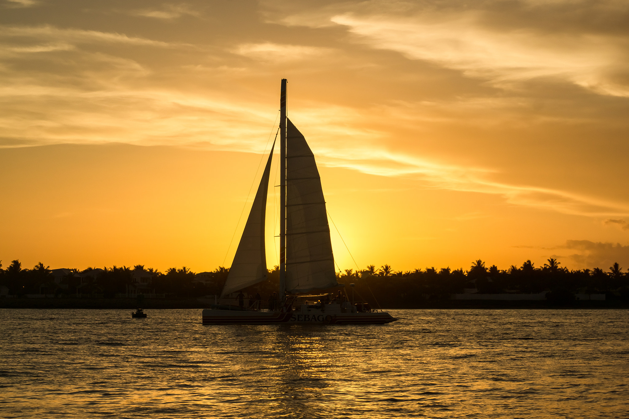 Sony DT 55-300mm F4.5-5.6 SAM sample photo