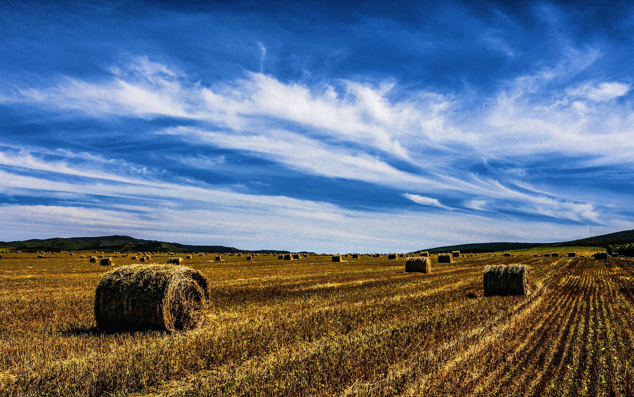 Canon EOS-1Ds Mark III sample photo. Mongolia photography