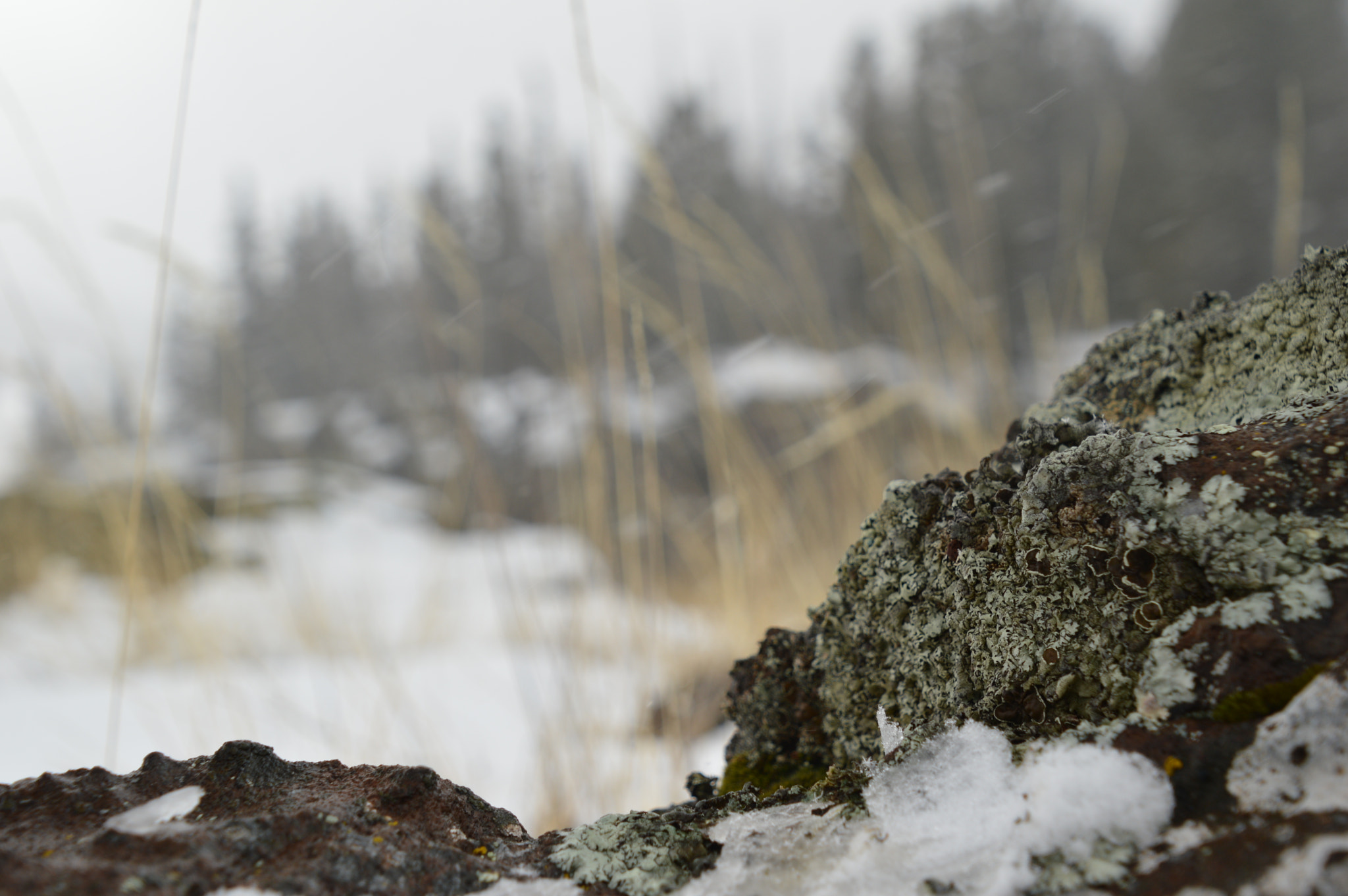 Nikon D3200 sample photo. Cold rock photography