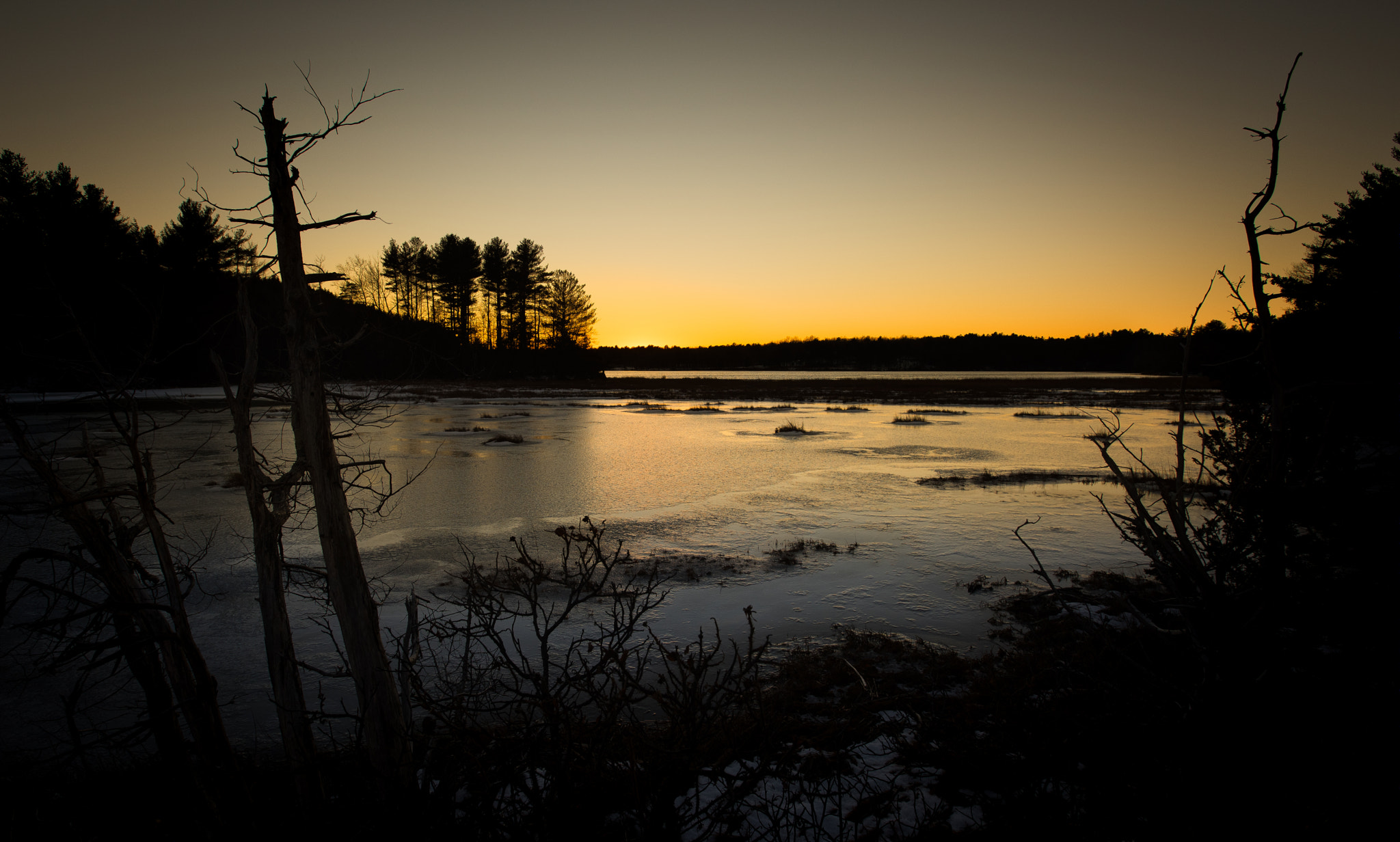 Nikon D810 sample photo. ...silhouette sunset... photography