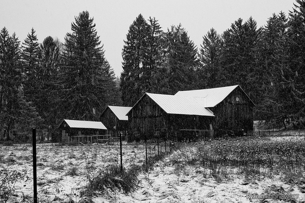 Canon EF 40mm F2.8 STM sample photo. Country static storm photography