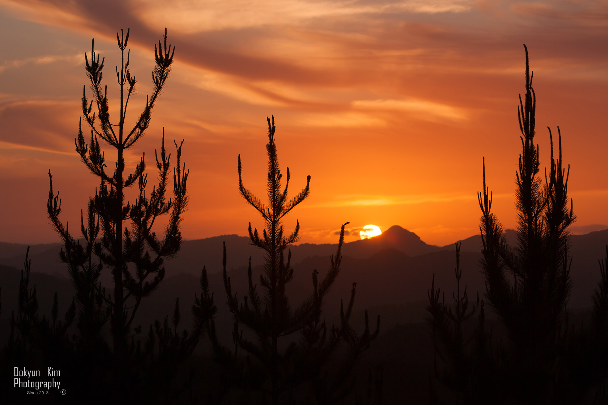 Canon EOS-1Ds Mark II sample photo. Sunset photography
