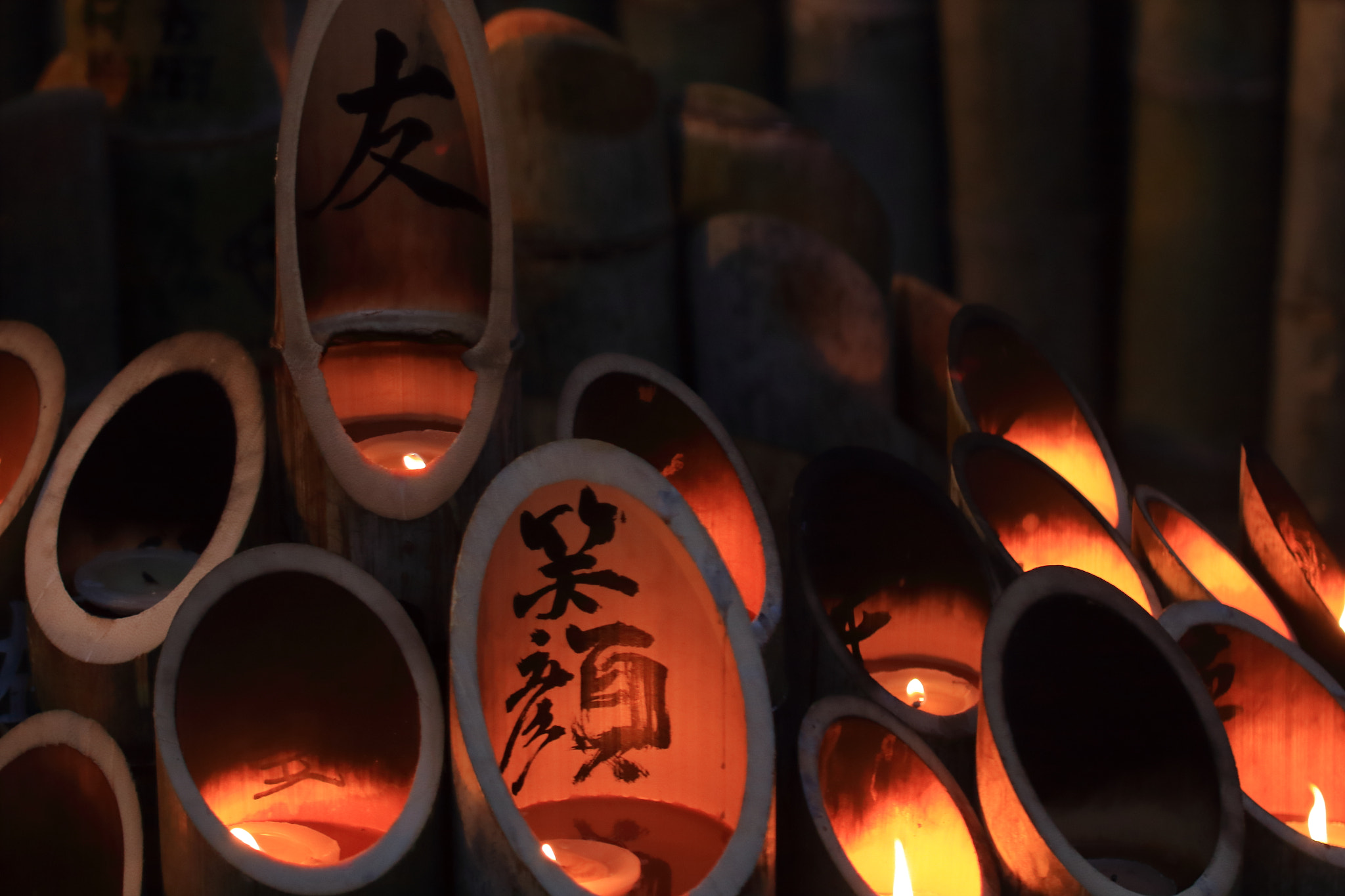 Canon EOS 700D (EOS Rebel T5i / EOS Kiss X7i) sample photo. The grieving in kobe 2017 #01 photography